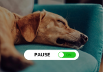Verschnaufpause 