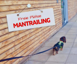  Freie Plätze in den Mantrailing Gruppen