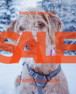 End of Season Sale 24. - 31.12.2025