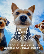 Start Februar 2026: Social Walk für Normalos und Knallköppe