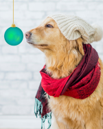 Gute Weihnachten und einen frohen Rutsch