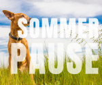 Verschnaufpause