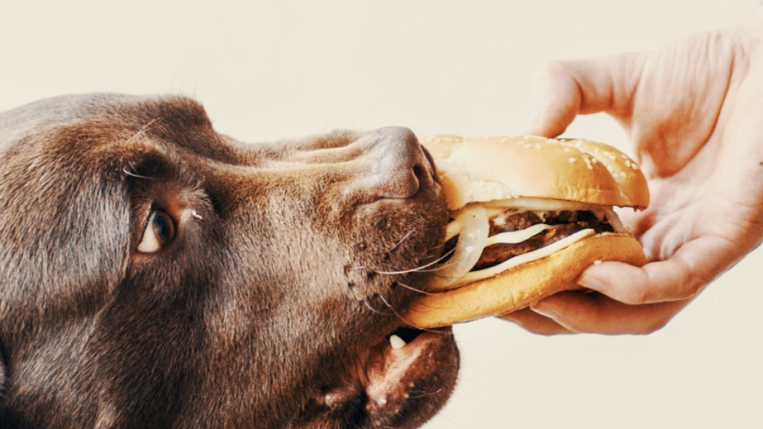 Neujahrs-Essen für Kundinnen und Kunden